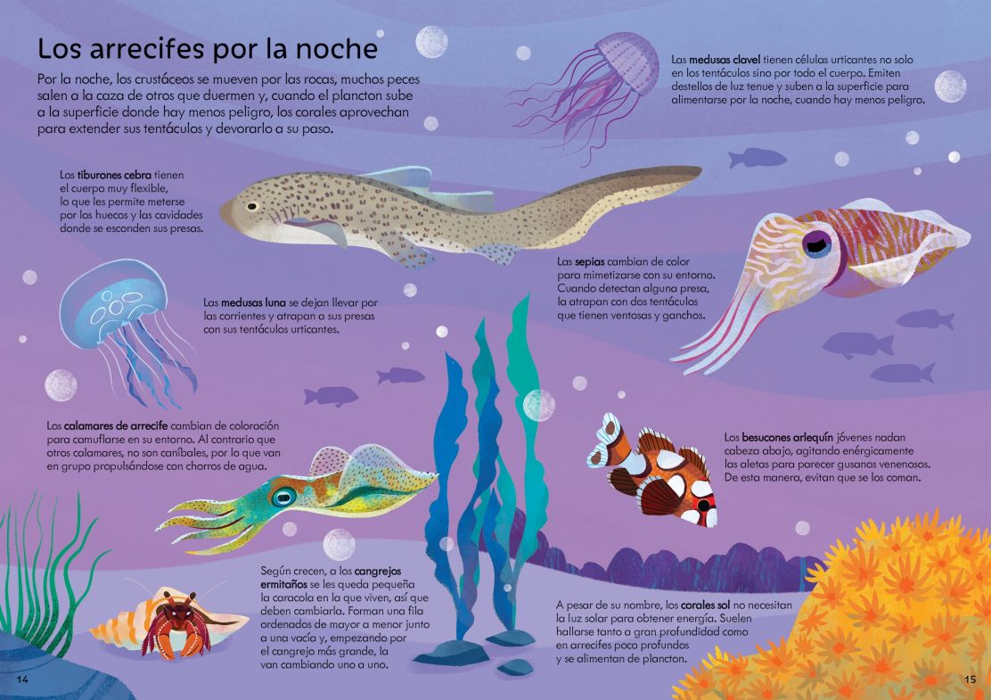 9781805077251_spread_image_3_ 9781805077251 spread image 3